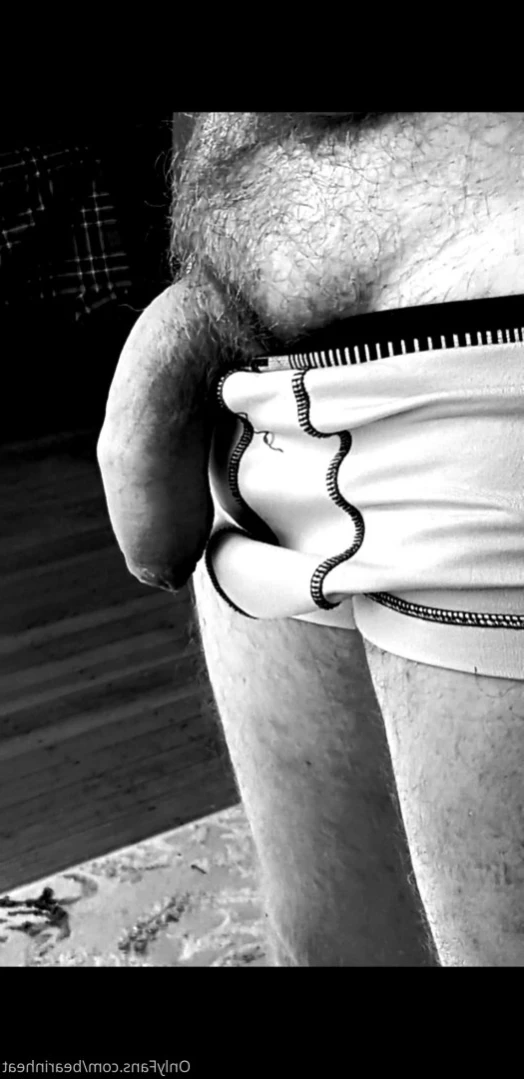 The Daddy Bear Life [ bearinheat ] Onlyfans leaked photo 15073404 on Hotleaks.tv