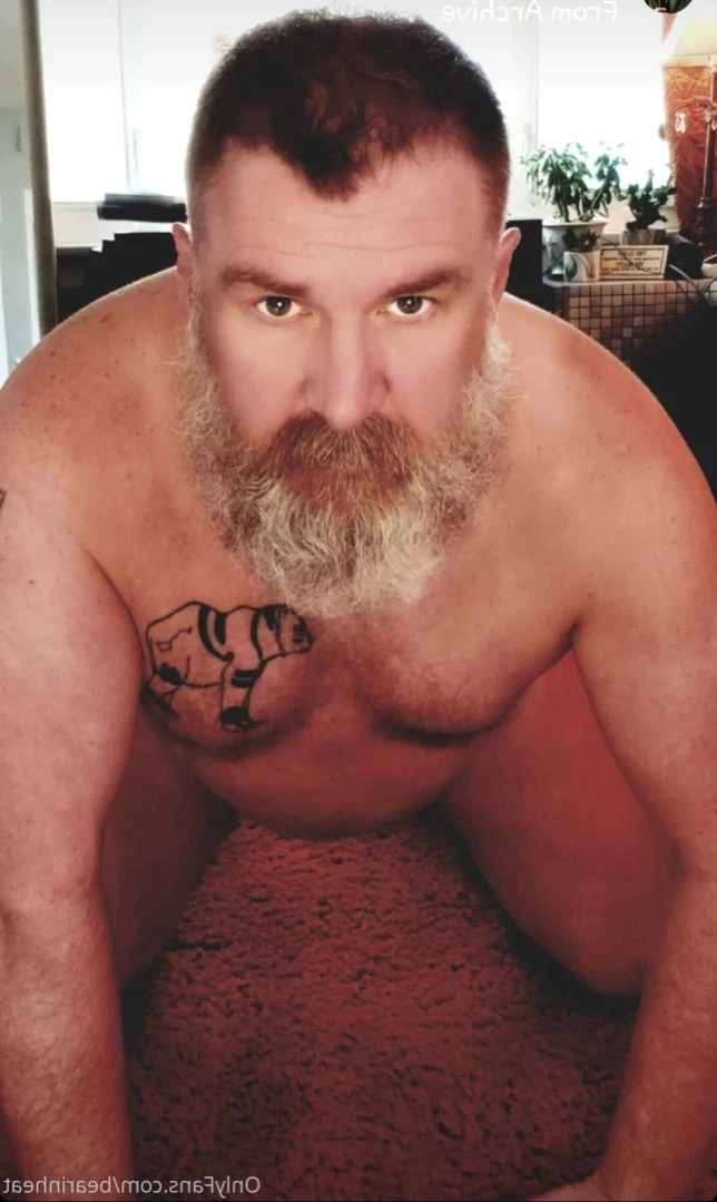 The Daddy Bear Life [ bearinheat ] Onlyfans leaked photo 15084306 on Hotleaks.tv