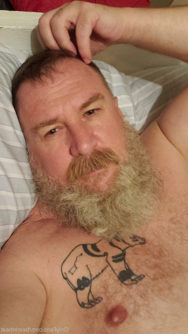 The Daddy Bear Life [ bearinheat ] Onlyfans leaked photo 15242678 on Hotleaks.tv