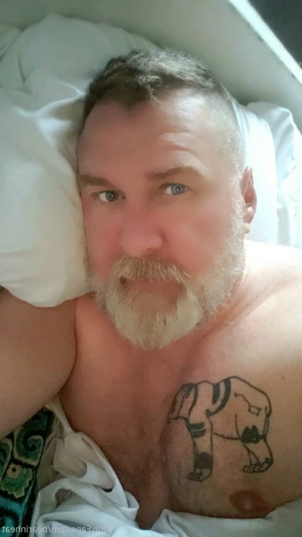 The Daddy Bear Life [ bearinheat ] Onlyfans leaked photo 15244561 on Hotleaks.tv