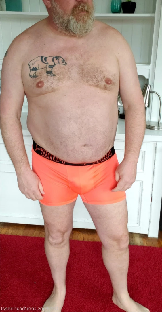 The Daddy Bear Life [ bearinheat ] Onlyfans leaked photo 15244676 on Hotleaks.tv