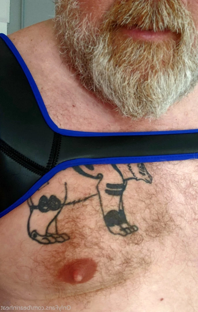 The Daddy Bear Life [ bearinheat ] Onlyfans leaked photo 15271879 on Hotleaks.tv