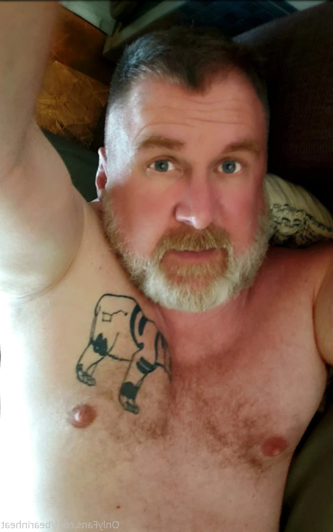 The Daddy Bear Life [ bearinheat ] Onlyfans leaked photo 15272469 on Hotleaks.tv
