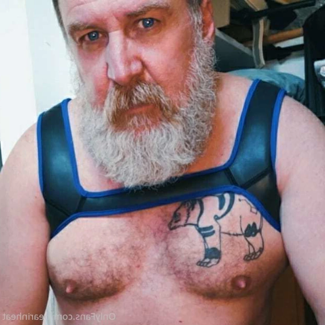 The Daddy Bear Life [ bearinheat ] Onlyfans leaked photo 15272670 on Hotleaks.tv