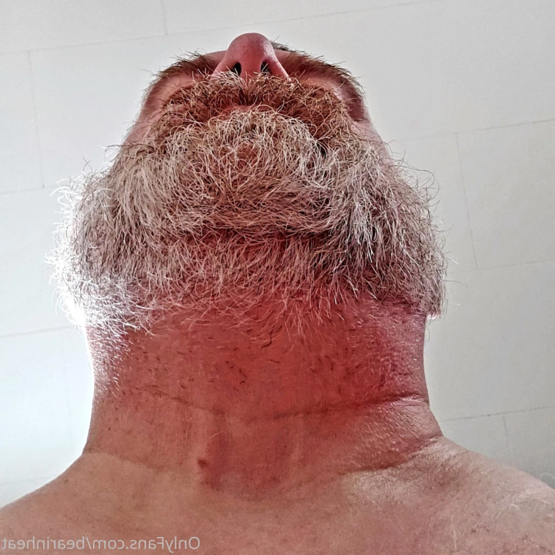 The Daddy Bear Life [ bearinheat ] Onlyfans leaked photo 15645896 on Hotleaks.tv