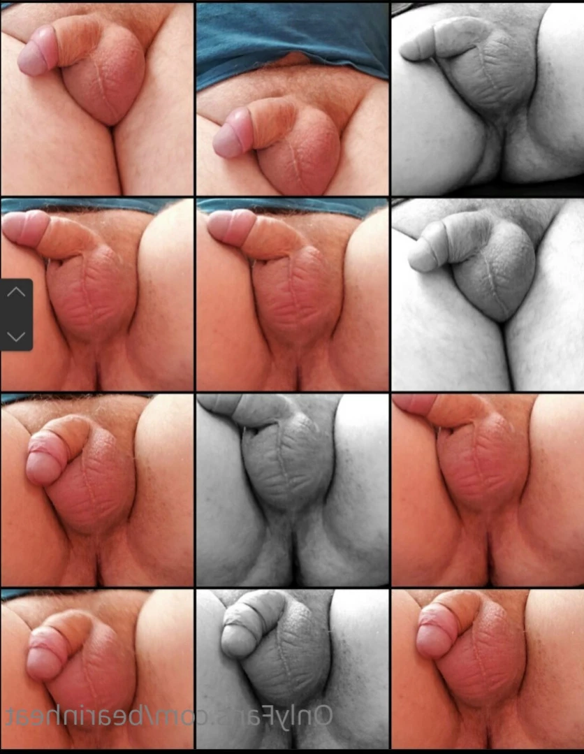 The Daddy Bear Life [ bearinheat ] Onlyfans leaked photo 15831676 on Hotleaks.tv