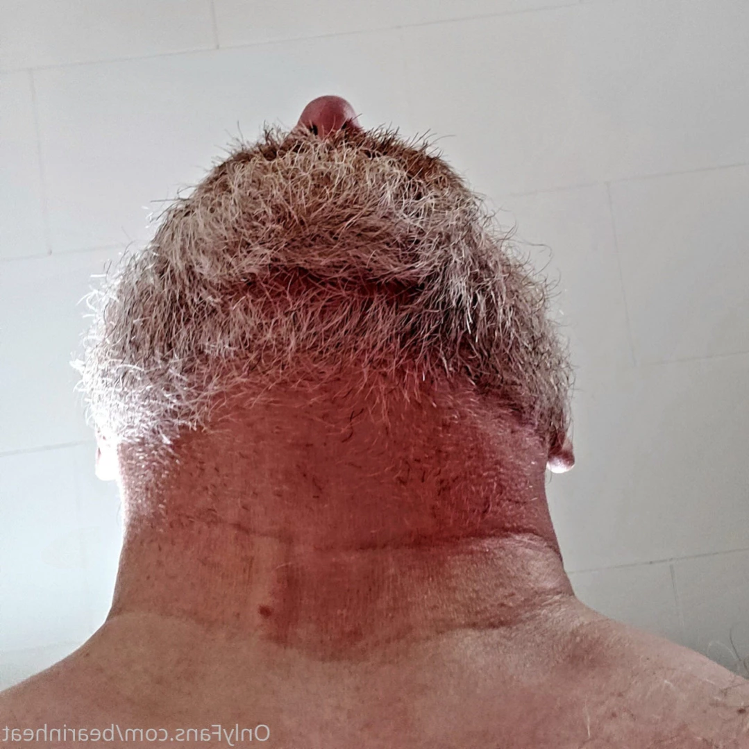 The Daddy Bear Life [ bearinheat ] Onlyfans leaked photo 16055800 on Hotleaks.tv