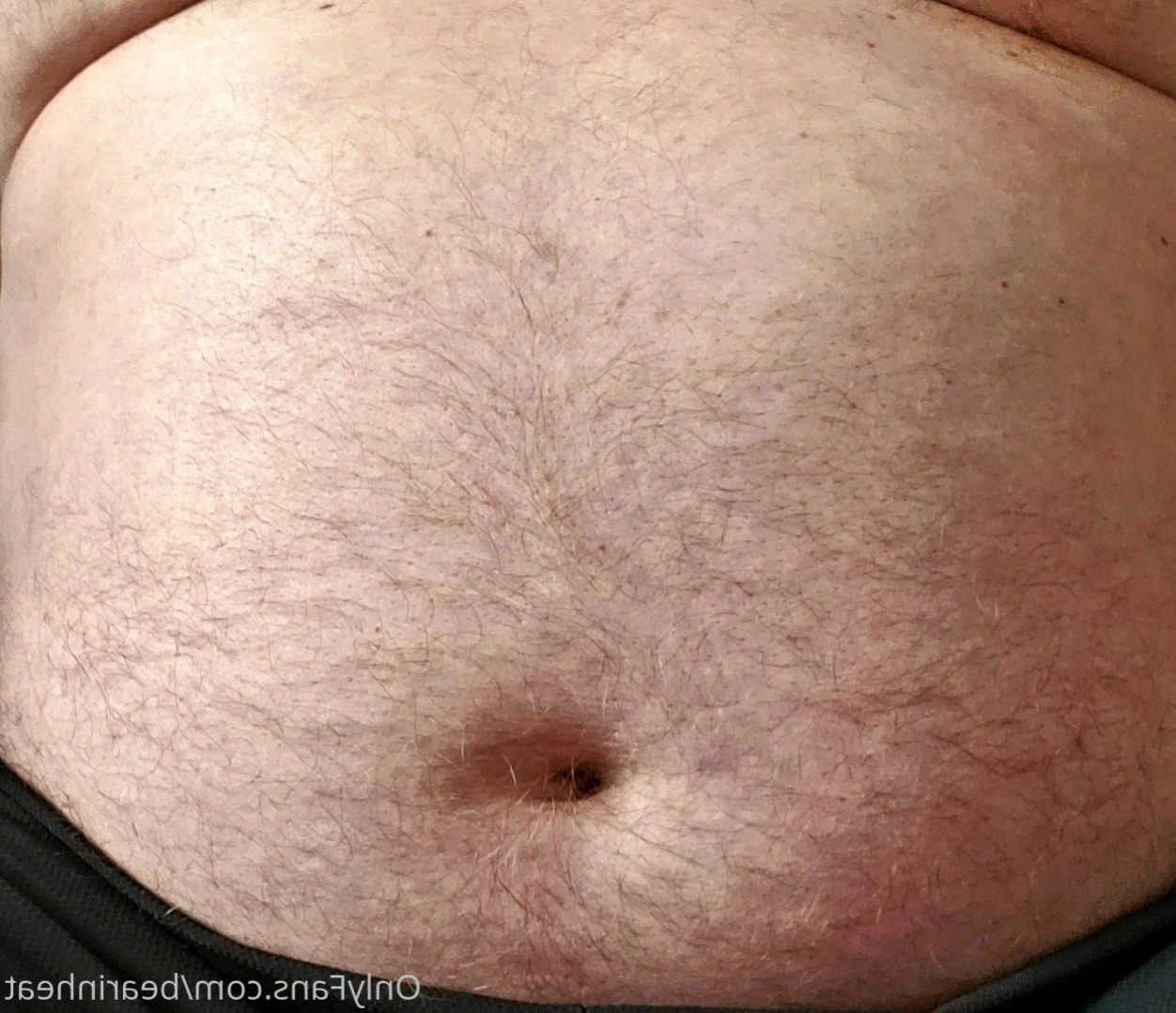 The Daddy Bear Life [ bearinheat ] Onlyfans leaked photo 16085238 on Hotleaks.tv