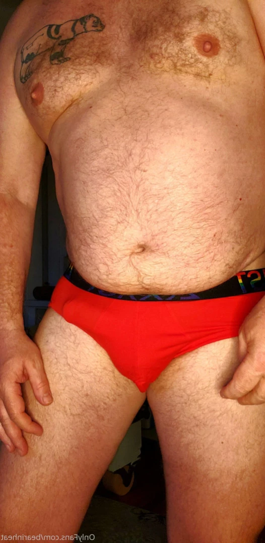 The Daddy Bear Life [ bearinheat ] Onlyfans leaked photo 16276587 on Hotleaks.tv