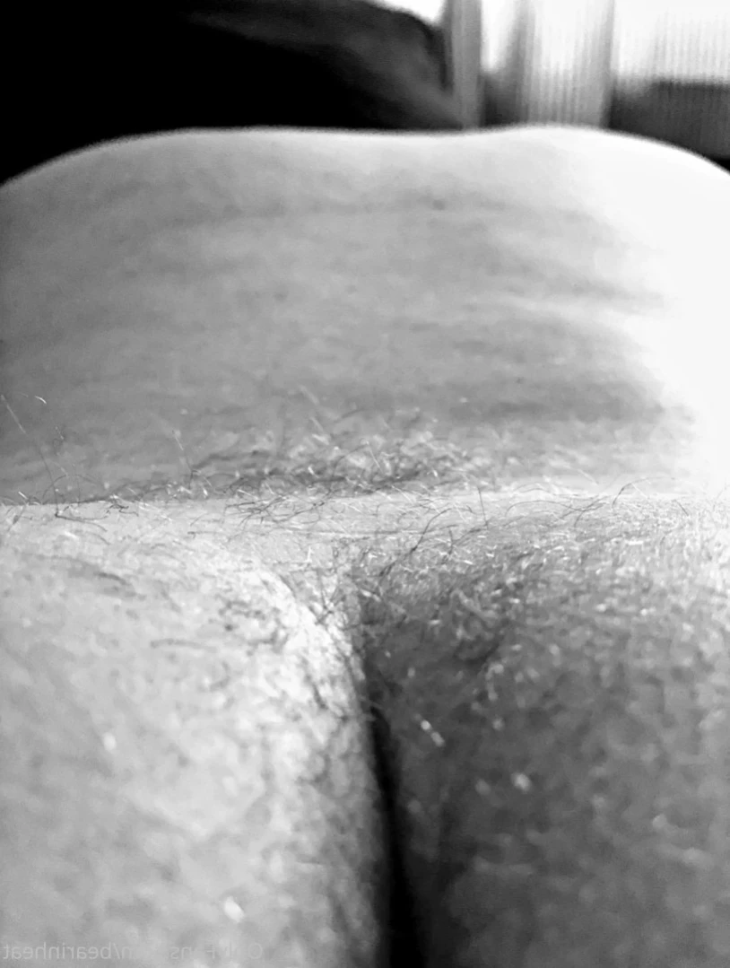 The Daddy Bear Life [ bearinheat ] Onlyfans leaked photo 16300991 on Hotleaks.tv