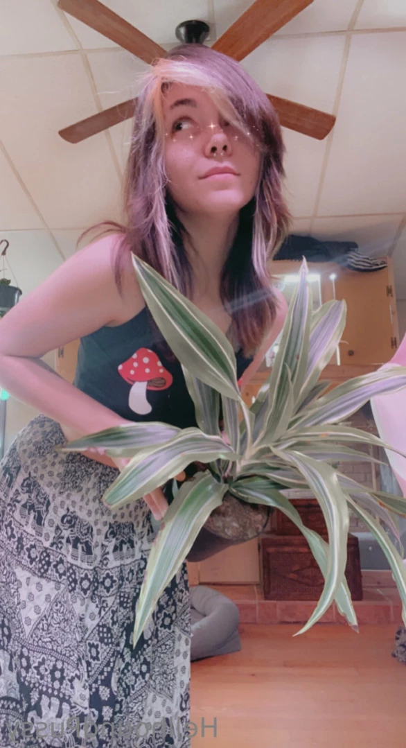 Beetle ✨ [ beetlezboobz ] Onlyfans leaked photo 11296629 on Hotleaks.tv