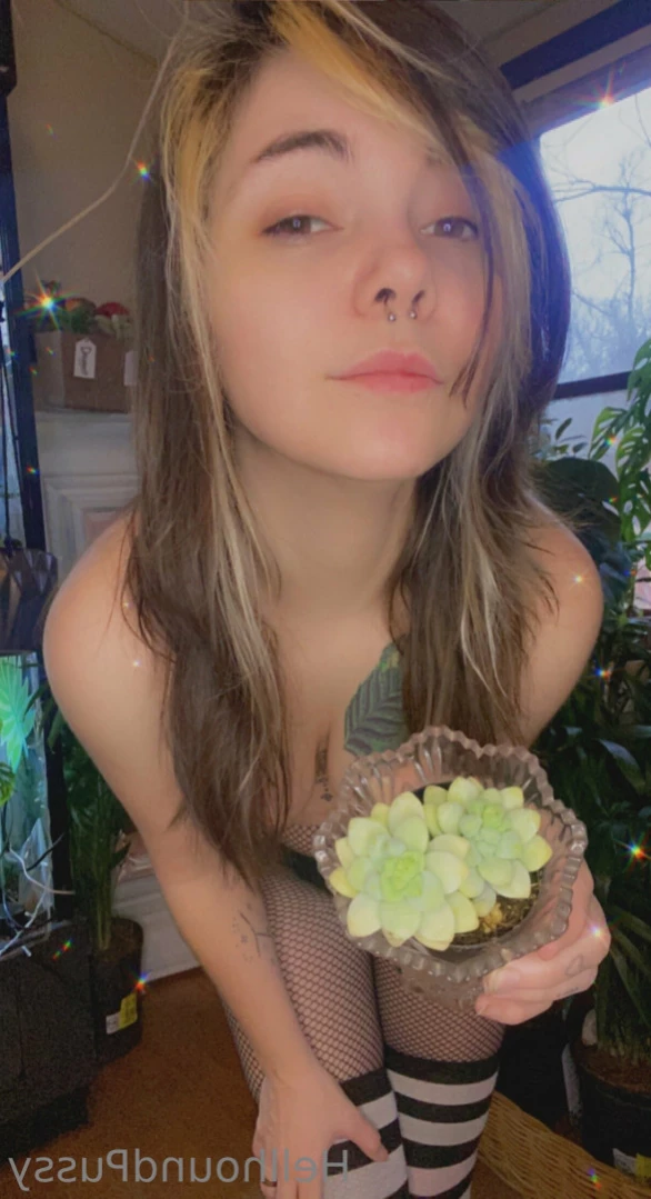 Beetle ✨ [ beetlezboobz ] Onlyfans leaked photo 11298581 on Hotleaks.tv