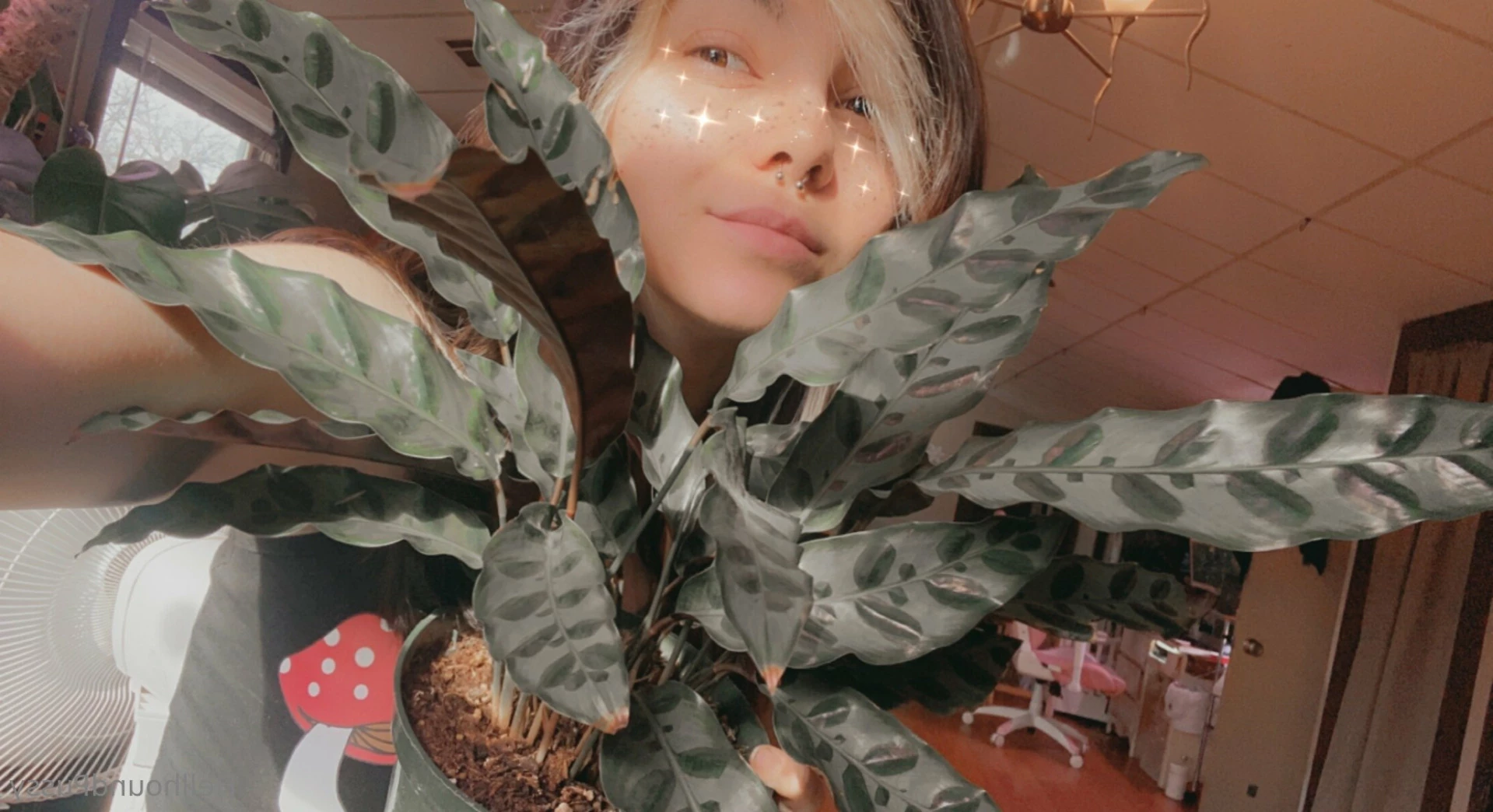 Beetle ✨ [ beetlezboobz ] Onlyfans leaked photo 12706233 on Hotleaks.tv