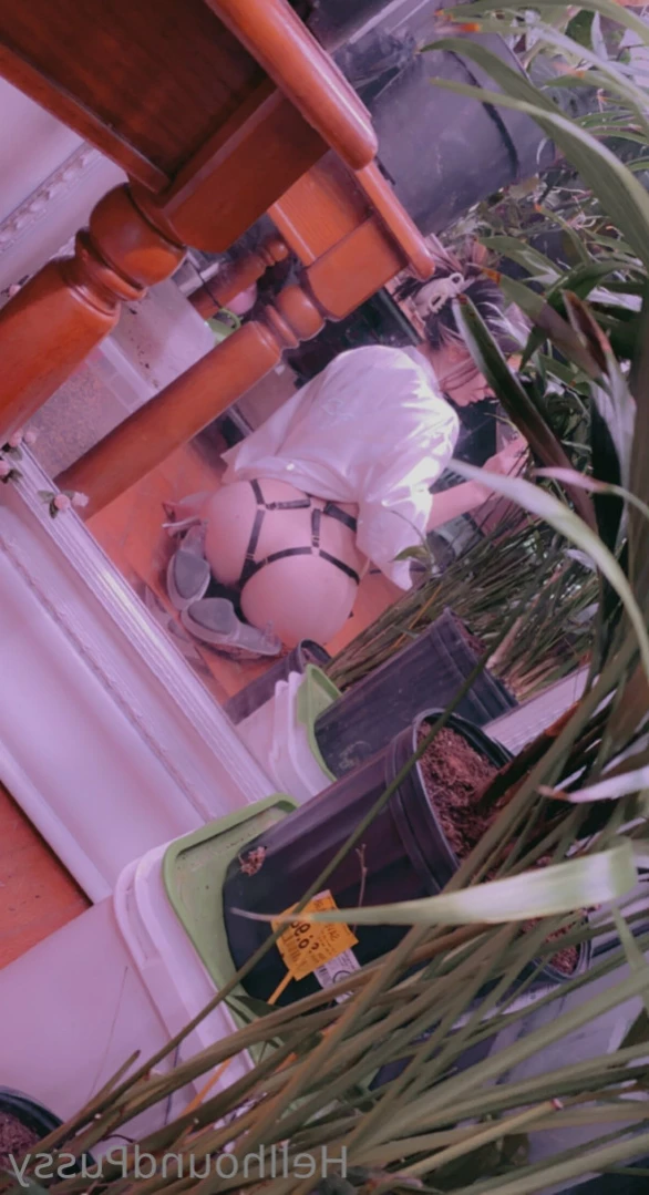 Beetle ✨ [ beetlezboobz ] Onlyfans leaked photo 14772299 on Hotleaks.tv