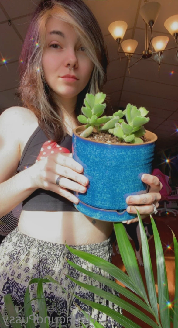 Beetle ✨ [ beetlezboobz ] Onlyfans leaked photo 15242247 on Hotleaks.tv