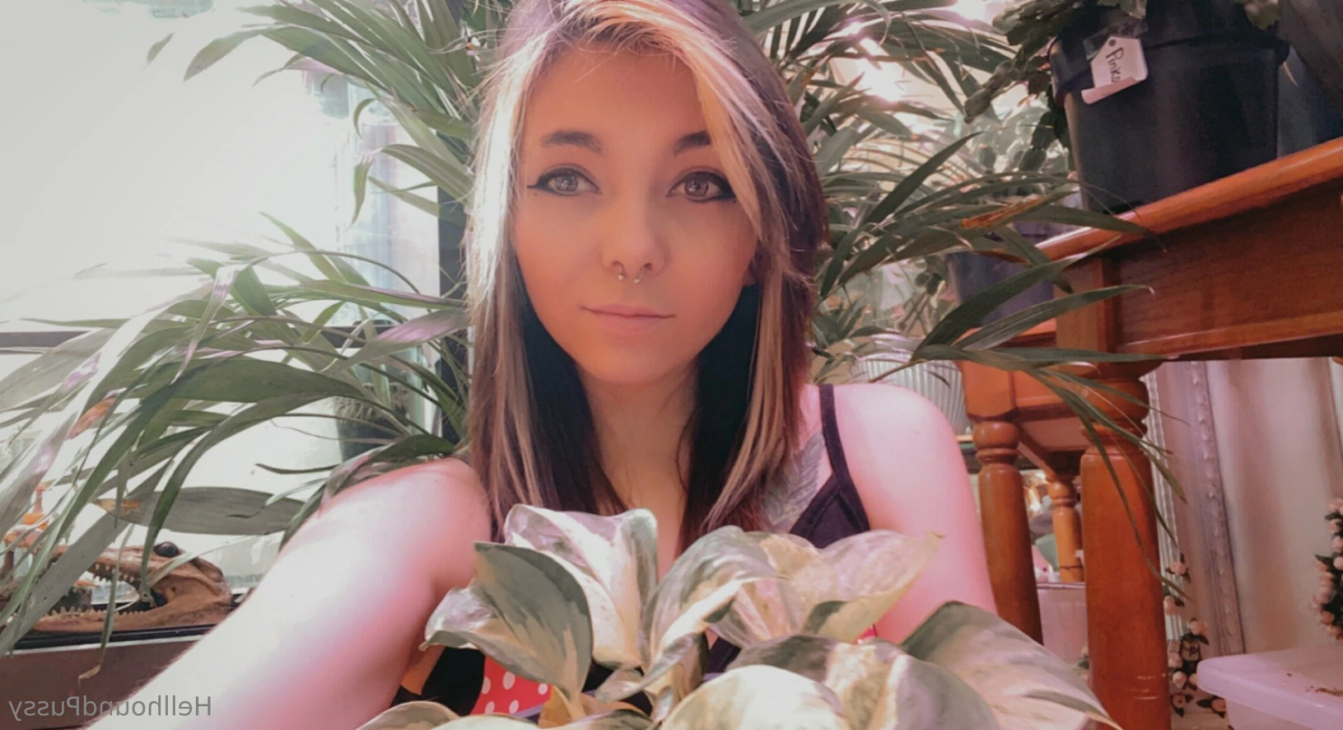 Beetle ✨ [ beetlezboobz ] Onlyfans leaked photo 15847627 on Hotleaks.tv