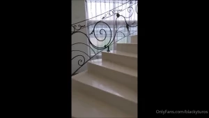 13295587