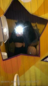 11309085