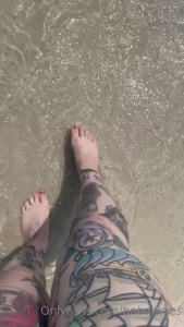 16178497