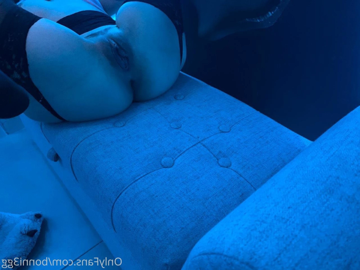 🐰ʙᴏɴɴɪ3ɢɢ  🫠 [ bonni3gg ] Onlyfans leaked photo 11307929 on Hotleaks.tv