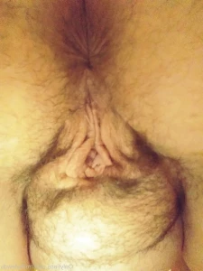 15274583