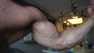 13304066