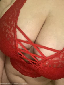 15686068