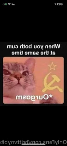 11295624