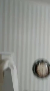 butchieboo Onlyfans leaked video 12009484 on Hotleaks.tv