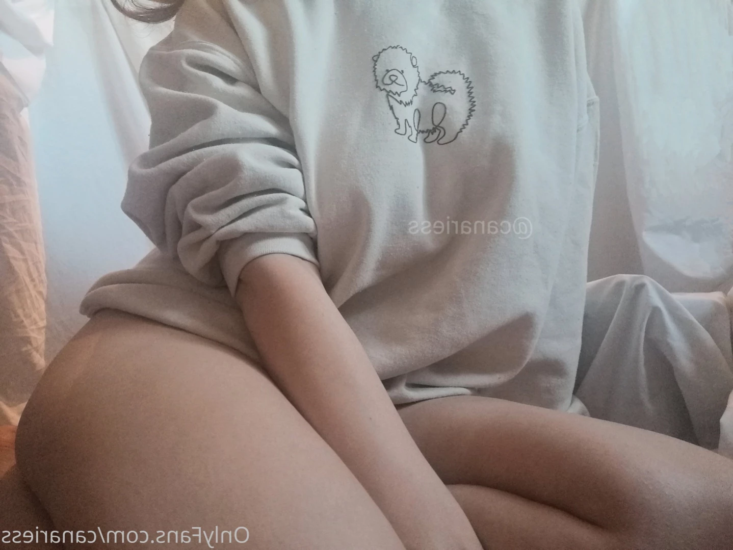 CanAries [ canariess ] Onlyfans leaked photo 16079789 on Hotleaks.tv