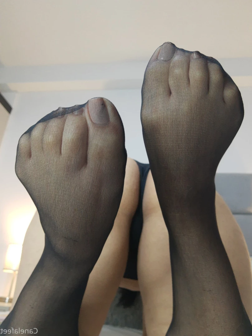 canelafeet1 Onlyfans leaked photo 10967838 on Hotleaks.tv