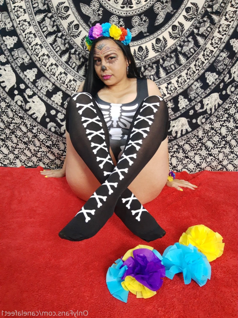 canelafeet1 Onlyfans leaked photo 14713169 on Hotleaks.tv