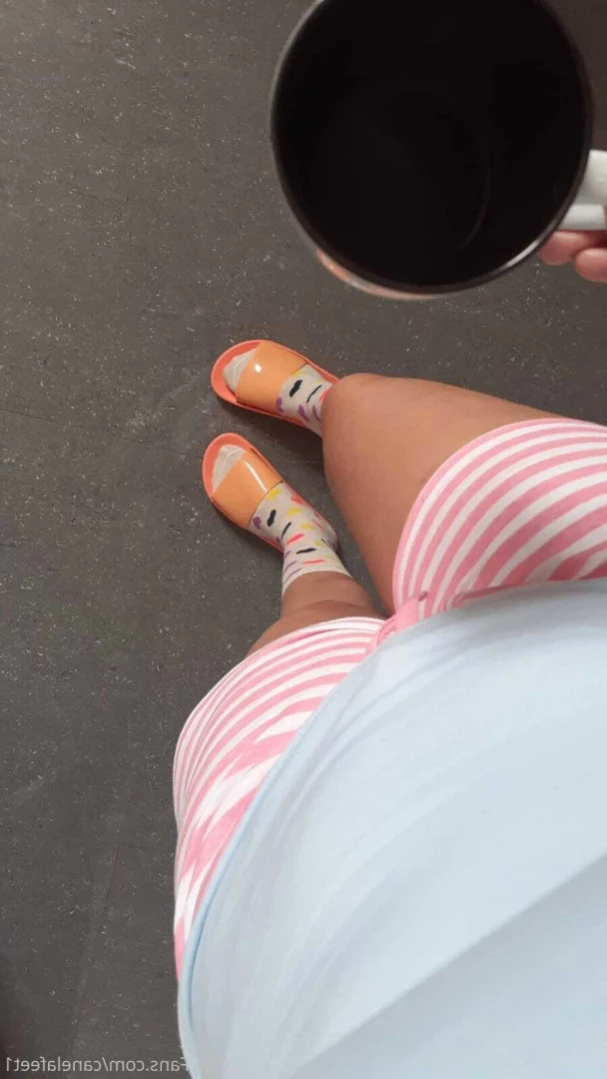 canelafeet1 Onlyfans leaked photo 15333454 on Hotleaks.tv
