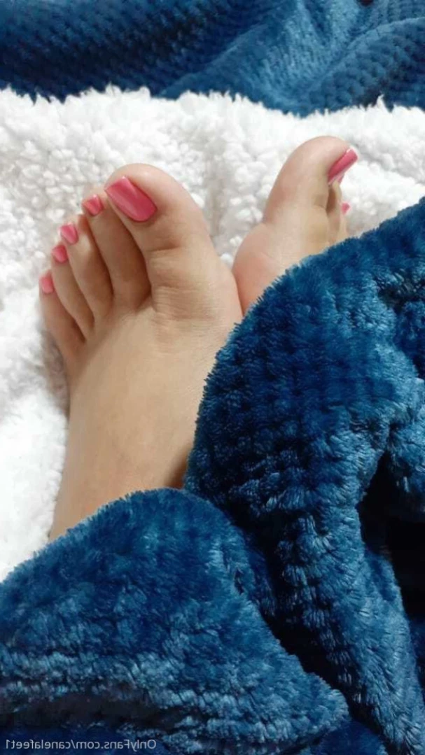 canelafeet1 Onlyfans leaked photo 15644708 on Hotleaks.tv