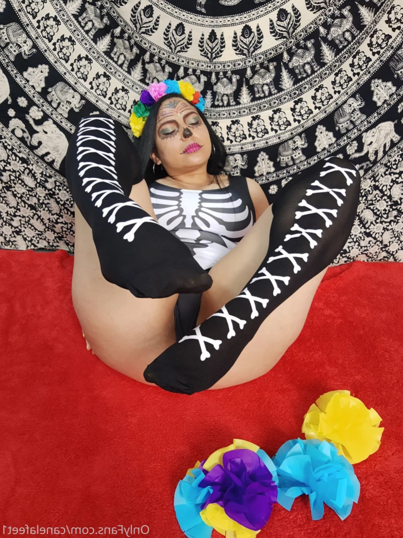 canelafeet1 Onlyfans leaked photo 15928572 on Hotleaks.tv
