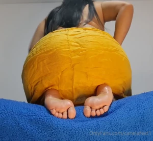 16041663