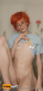 16021823