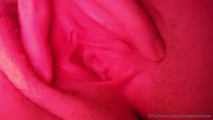 Ash [ carnalcambion ] Onlyfans leaked video 10934320 on Hotleaks.tv