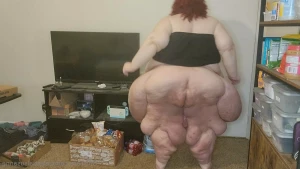 16096835