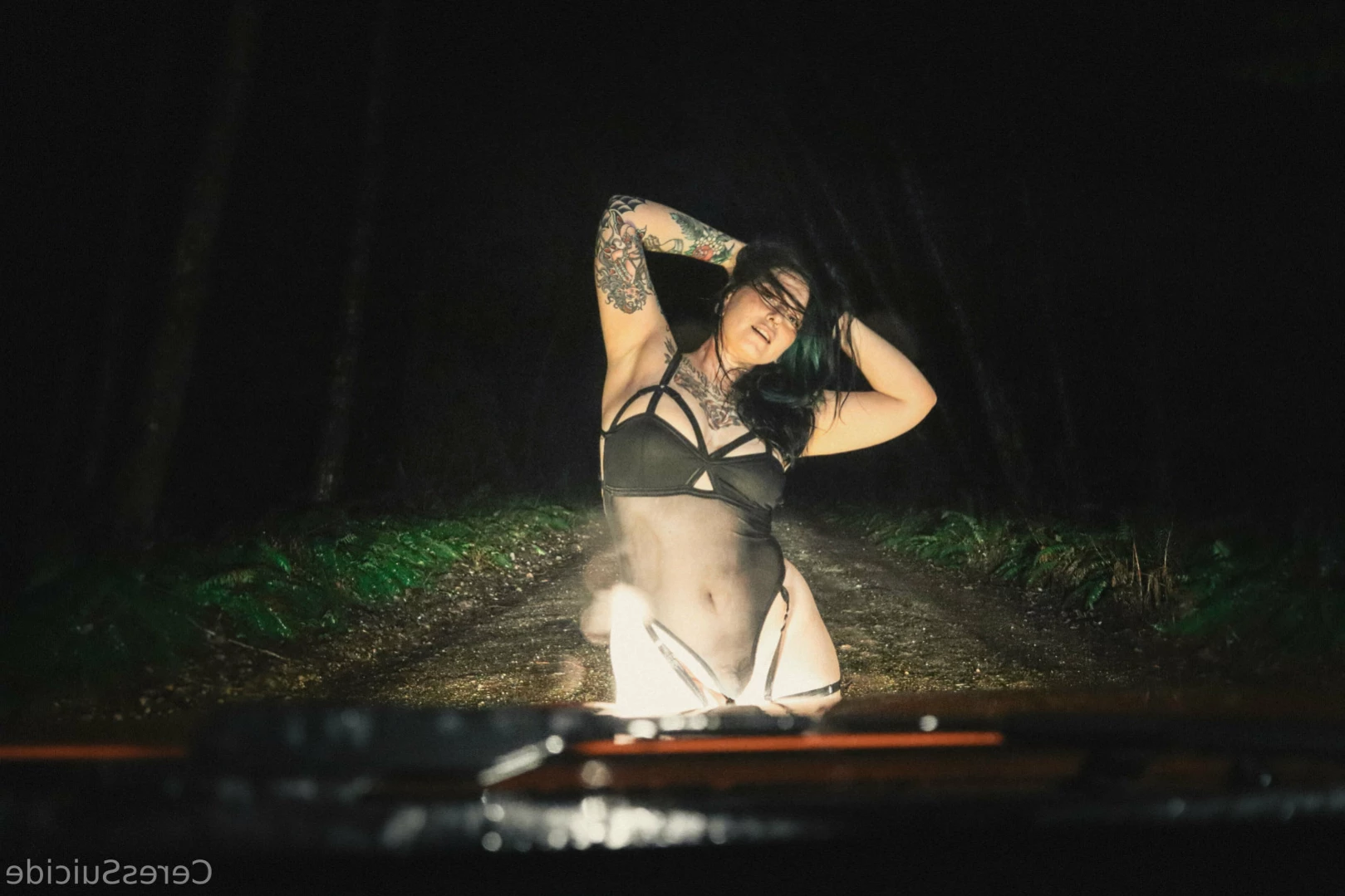 Ceres Suicide 🥀 [ ceressuicide ] Onlyfans leaked photo 15630326 on Hotleaks.tv