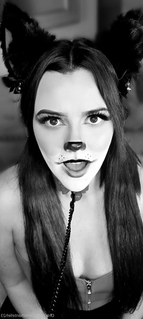 chantelleh23 Onlyfans leaked photo 15229969 on Hotleaks.tv