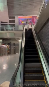 15333151
