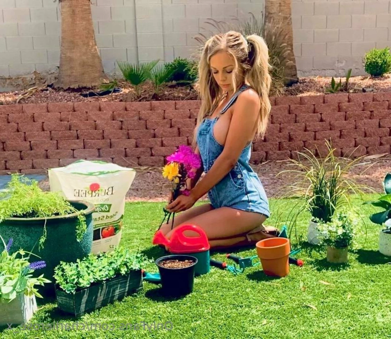 Charlie🌹Rose [ charlierose_x ] Onlyfans leaked photo 13555627 on Hotleaks.tv