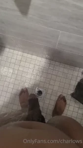 16125786