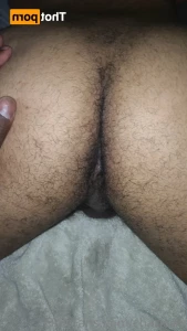 16257851