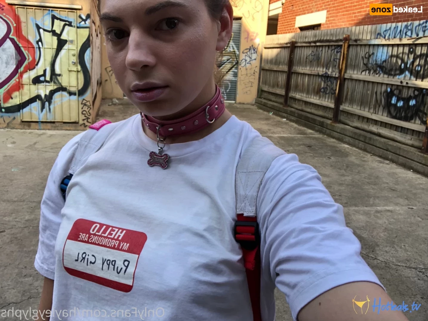 hayley [ chippiechipsbimbo ] Onlyfans leaked photo 15037445 on Hotleaks.tv