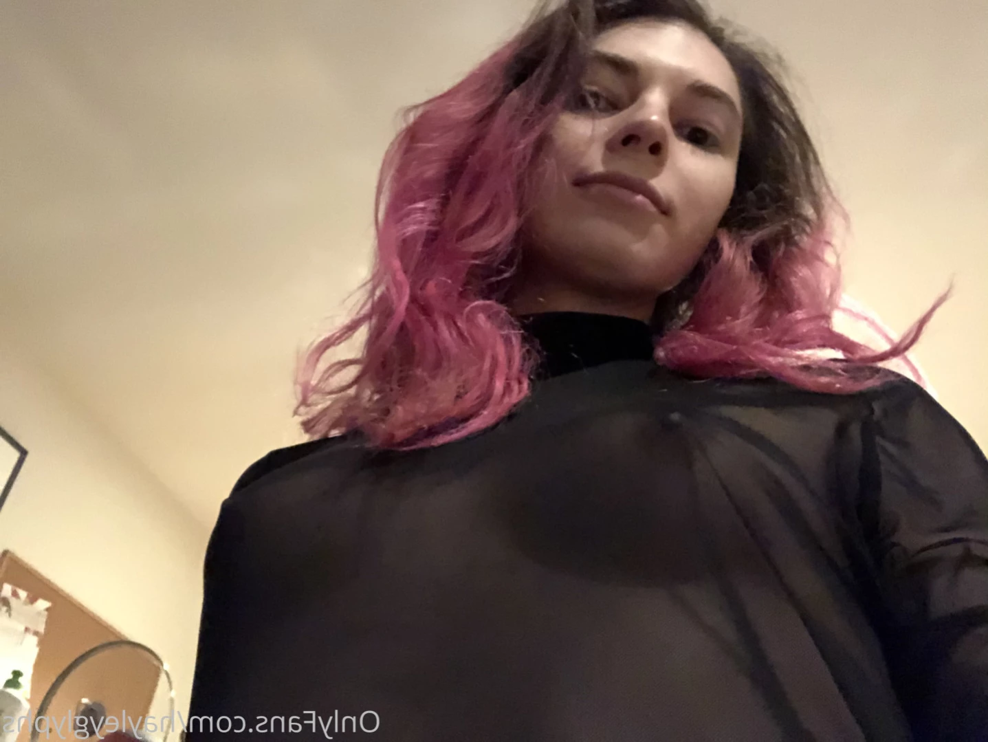 hayley [ chippiechipsbimbo ] Onlyfans leaked photo 15251446 on Hotleaks.tv