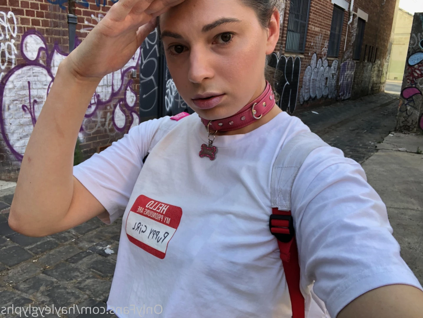 hayley [ chippiechipsbimbo ] Onlyfans leaked photo 16260218 on Hotleaks.tv