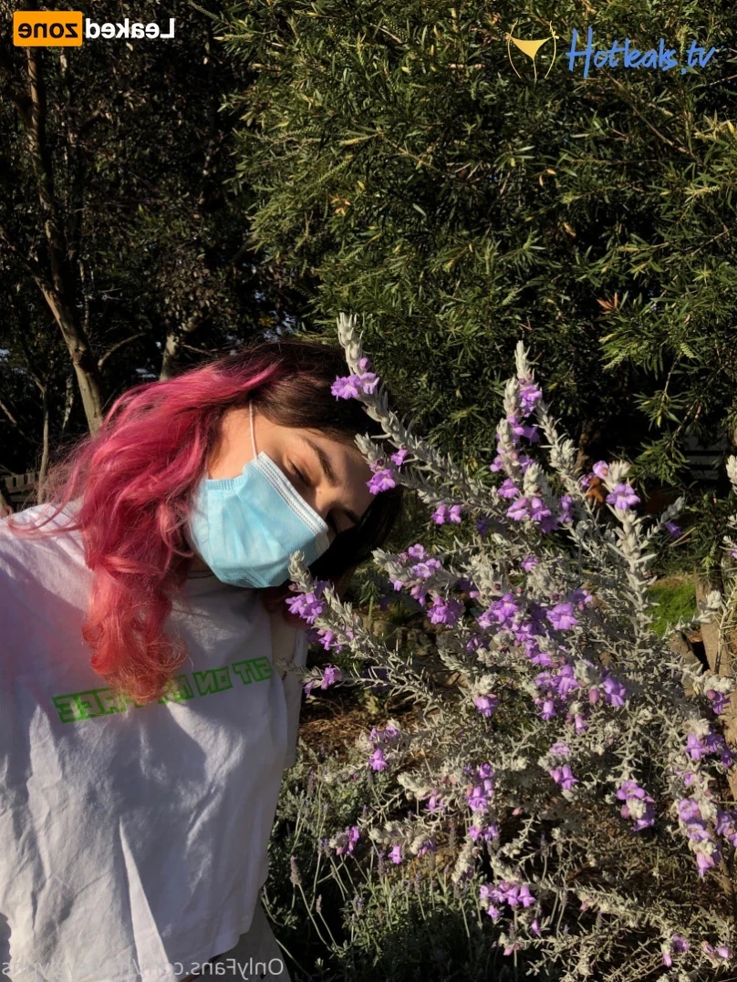 hayley [ chippiechipsbimbo ] Onlyfans leaked photo 16264250 on Hotleaks.tv