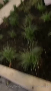 chloemadison Onlyfans leaked video 12542099 on Hotleaks.tv